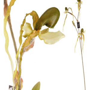 SPRZEDANE Roślina sztuczna.- exotic orchidea Aluro