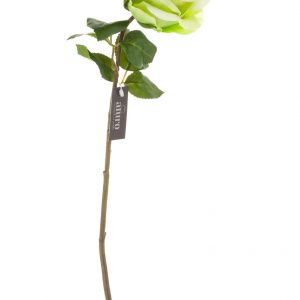 SPRZEDANE Roślina sztuczna – Róża zielona_Aluro